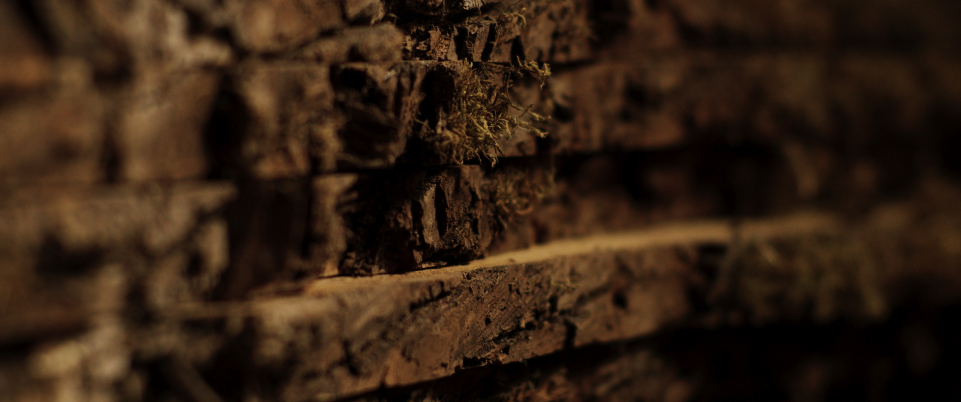 APISCOPE ETC 00 00 02 09Still042